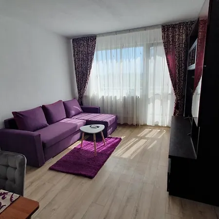 Apartment Andrei