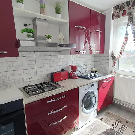 Andrei Apartment Brasov
