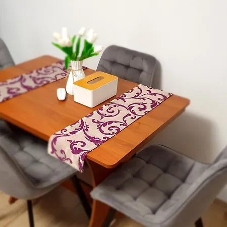 Apartment Andrei Brasov