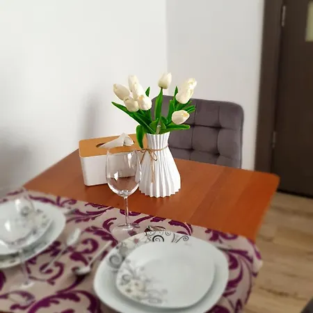 Apartment Andrei