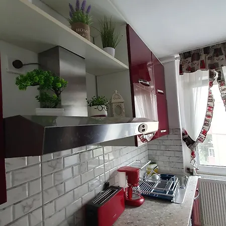 Andrei Apartment Brasov