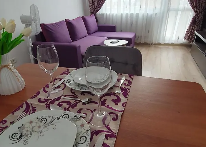 Apartment Andrei Brasov