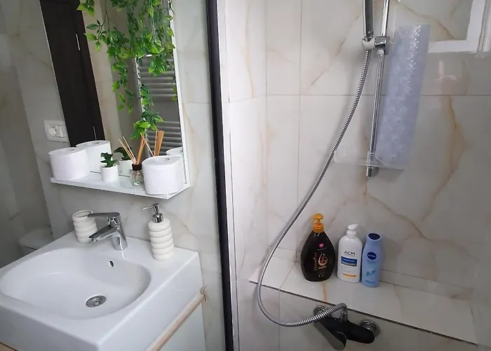 Apartment Andrei Brasov